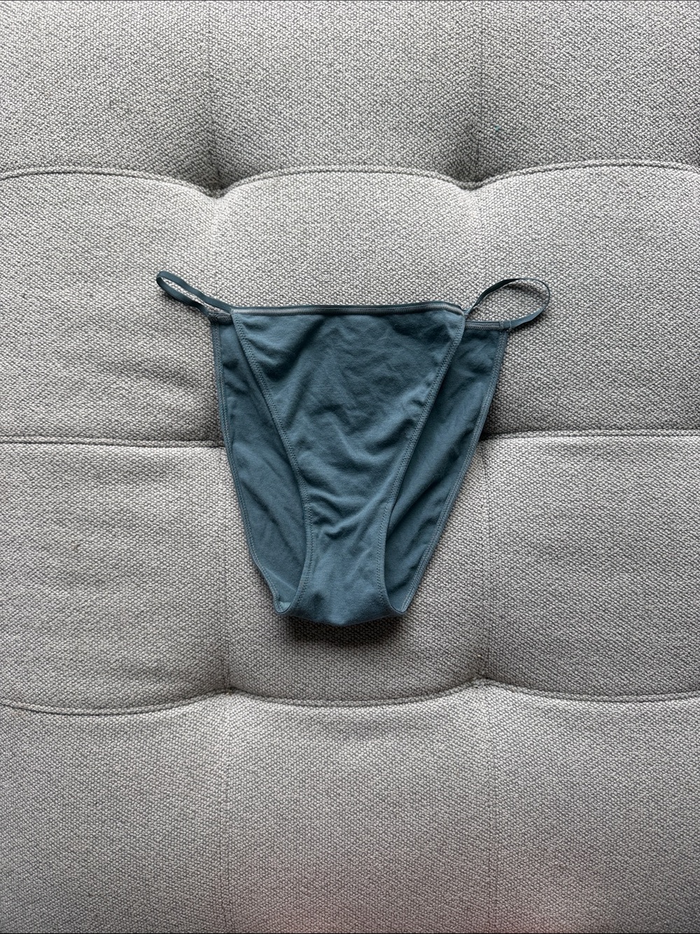 Skims panty